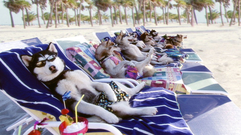 Snow Dogs still 7