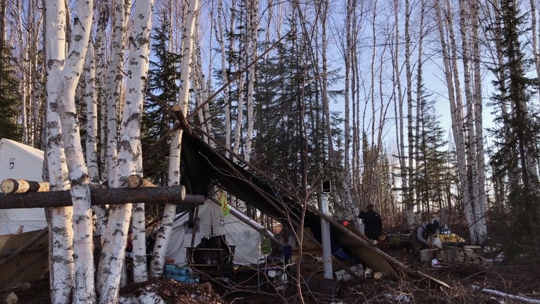 K'i Tah Amongst the Birch still 2