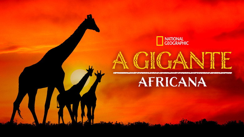 Giraffe: African Giant still 2