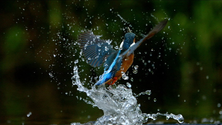 Ireland's Wild River still 1