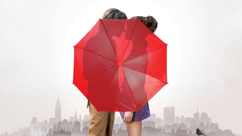 A Rainy Day in New York still 2