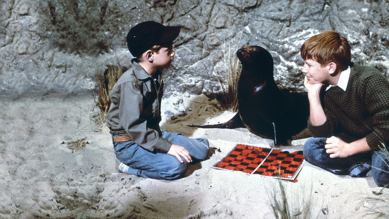 Sammy, the Way-Out Seal still 2