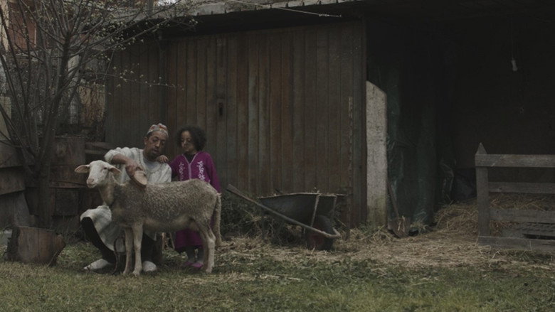 La pecora still 1