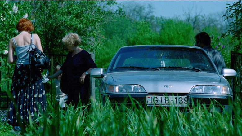 Hukkle still 7