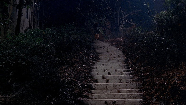 Wishing Stairs still 8