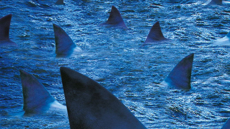Raging Sharks still 5