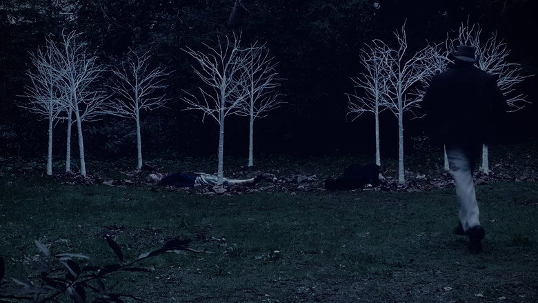 Queen of Hearts: A Twin Peaks Fan Film still 1
