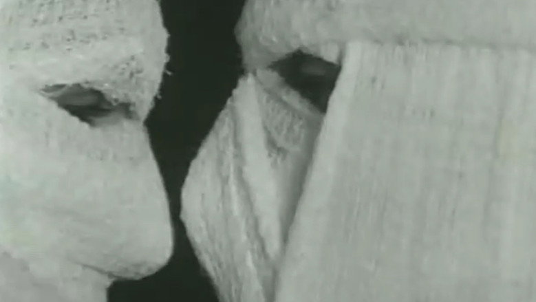 Pig still 4
