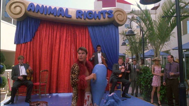 Tomcats still 6