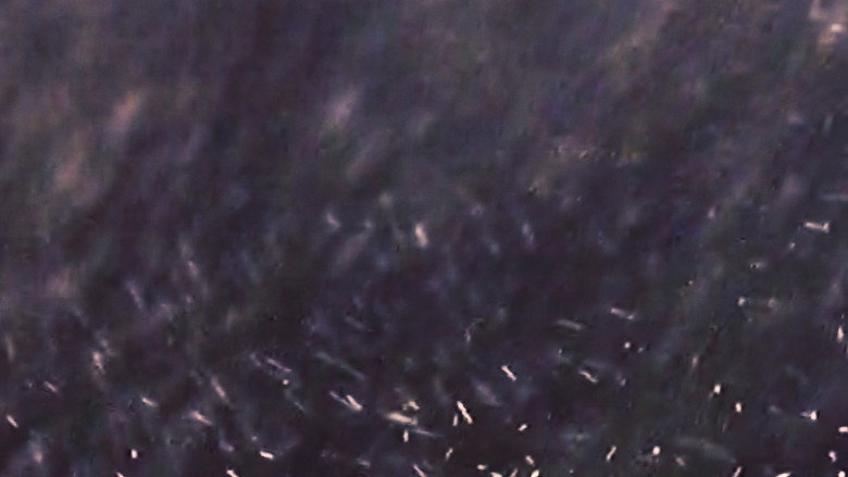 Inspection 01 still 4