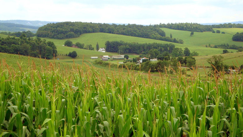 The World According to Monsanto still 2