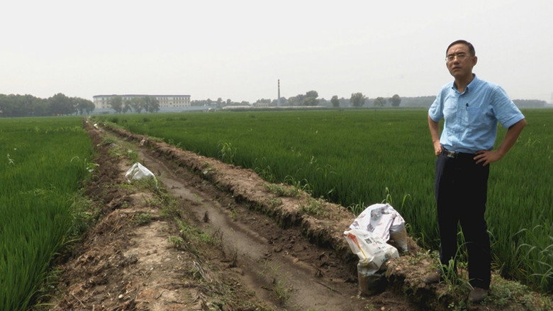 Letter from Masanjia still 1