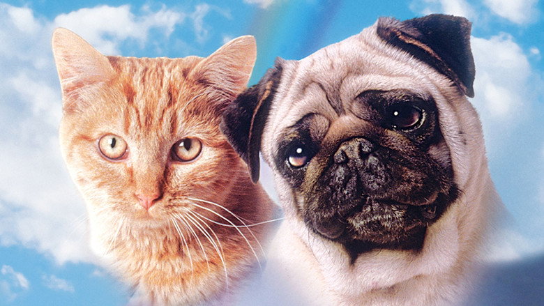 The Adventures of Milo and Otis still 7
