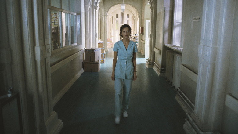Fragile still 3