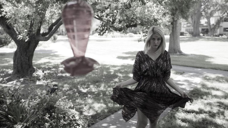 Snail still 3