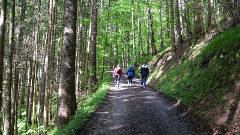 Walking: Miracle Cure for Body and Soul still 1