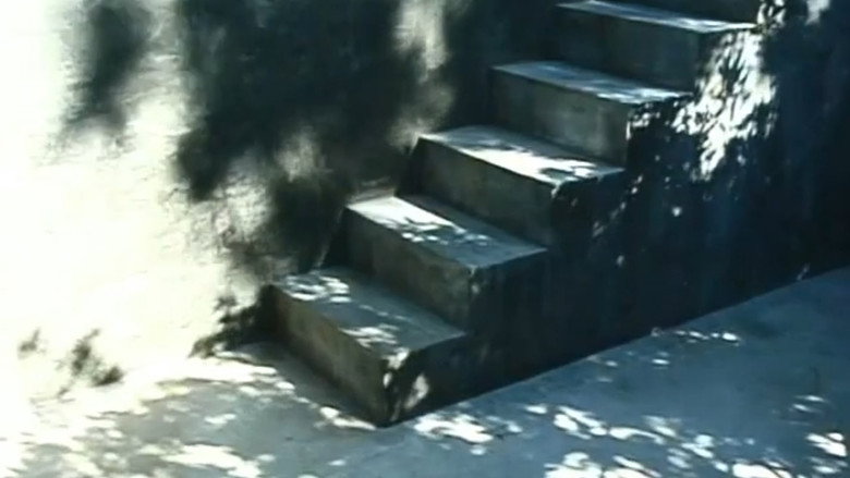 Steps still 2