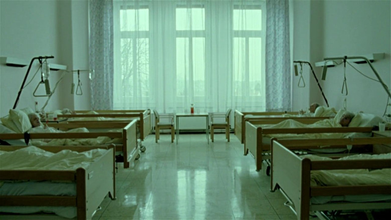 Import/Export still 4