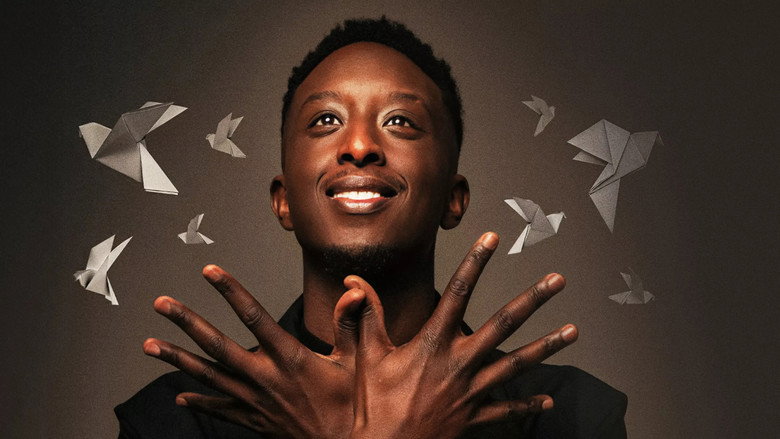 Ahmed Sylla - Origami still 2