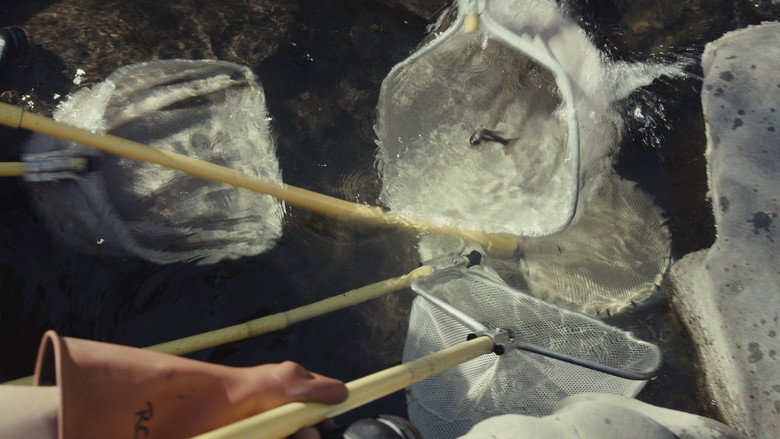 Fish for the Future still 3