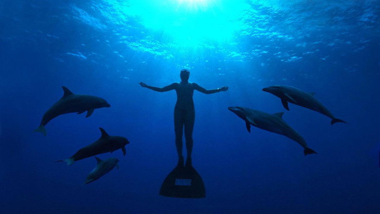The Cove still 1