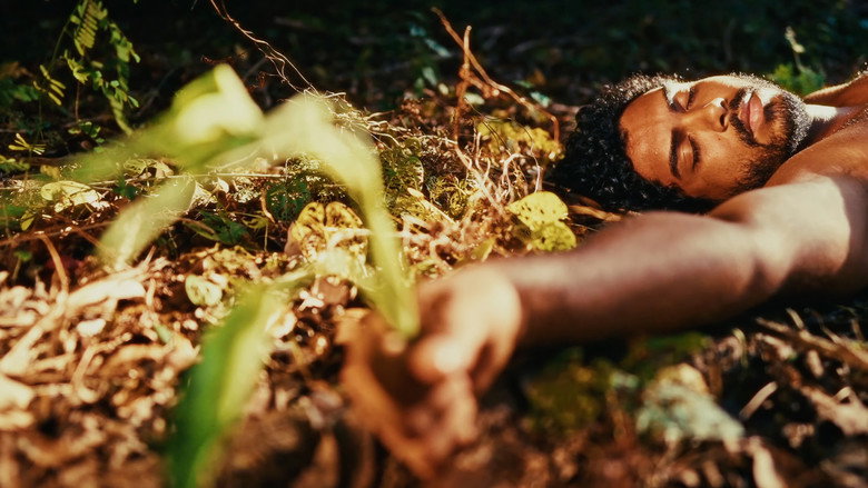 Her Yard still 6