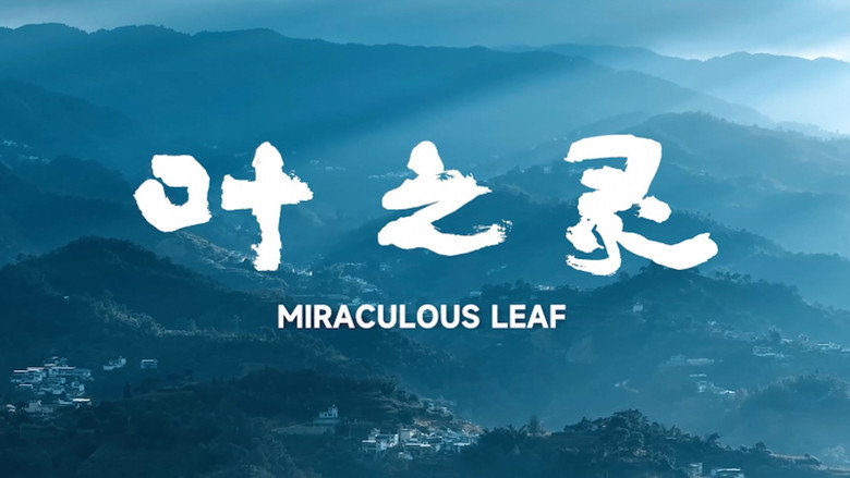 Miraculous Leaf still 1