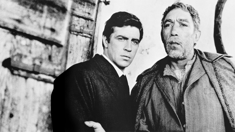 Zorba the Greek still 6