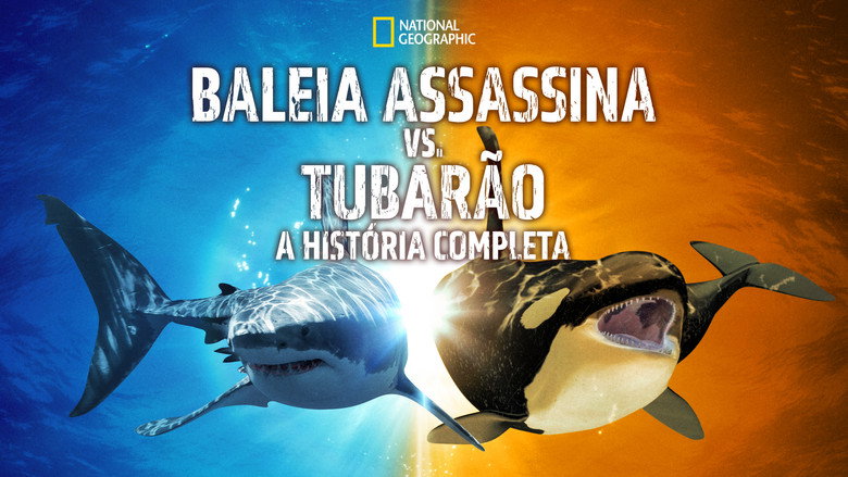 Killer Shark Vs. Killer Whale still 7