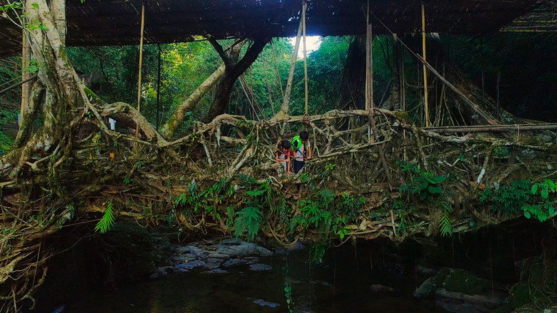 For Tomorrow - the Documentary still 1