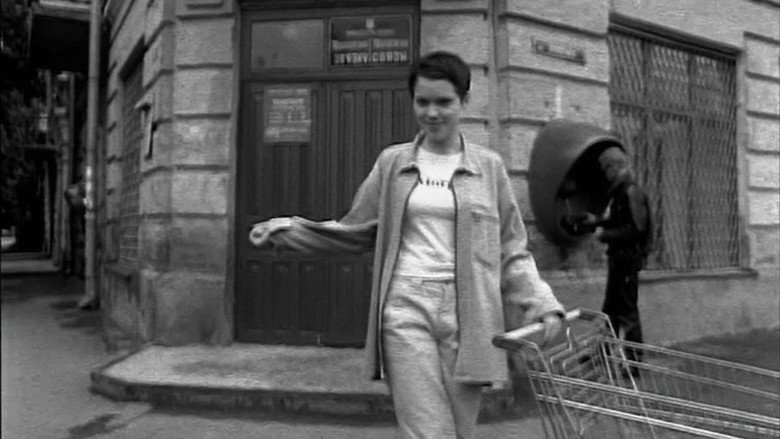 Cicuta still 6