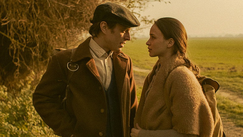 Aurora Borealis: Northern Light still 8