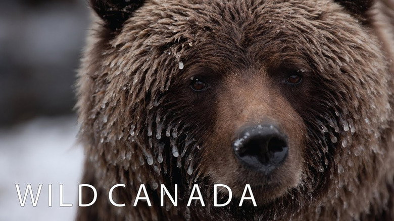 Wild Canada still 1