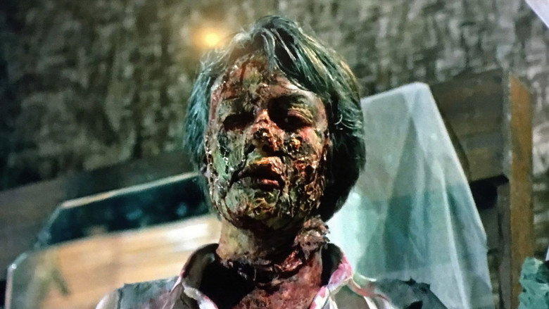 Zombie Flesh Eaters 2 still 4