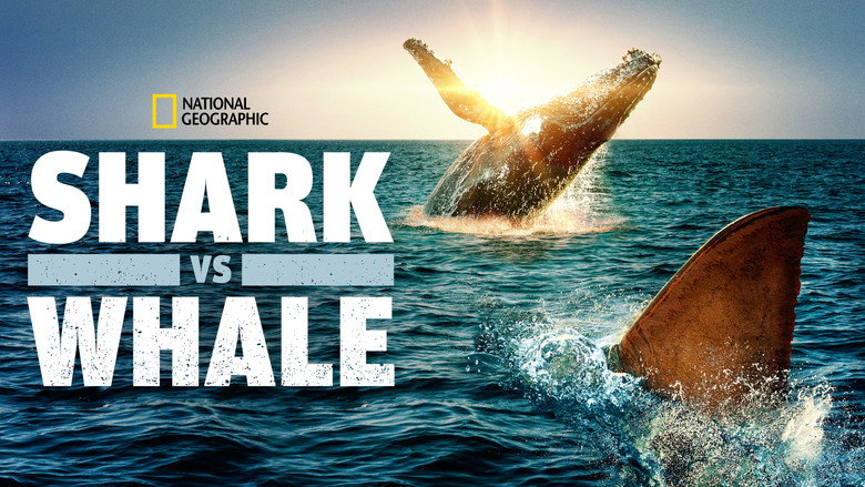 Shark Vs. Whale still 5
