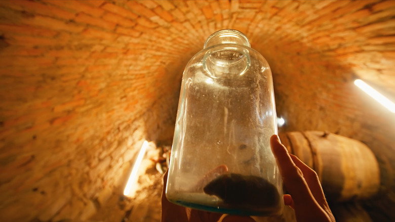 Solvent still 5
