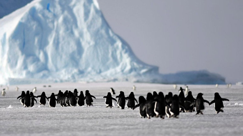 A Woman in Antarctica still 2