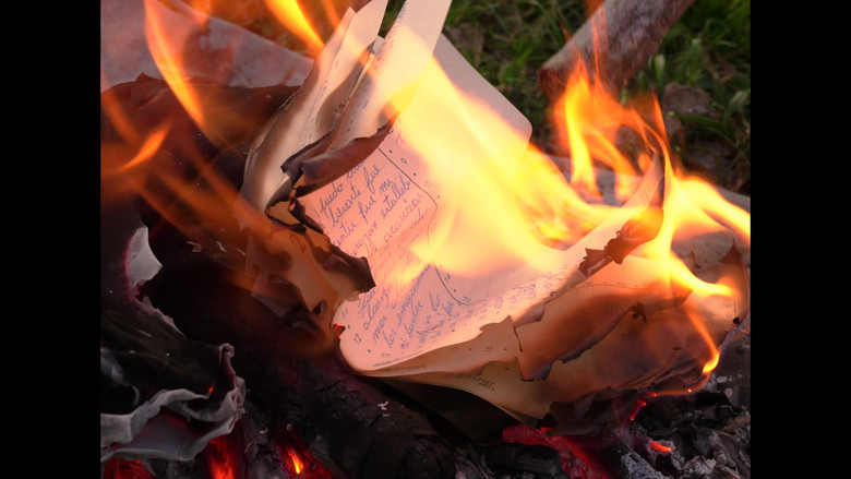 Fiery Enigma still 4