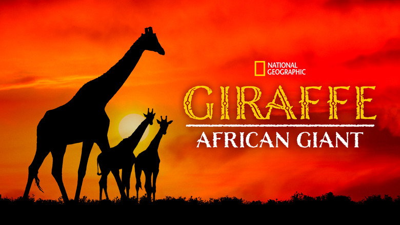 Giraffe: African Giant still 8