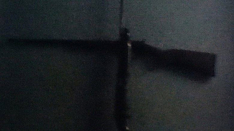 The Leech still 3