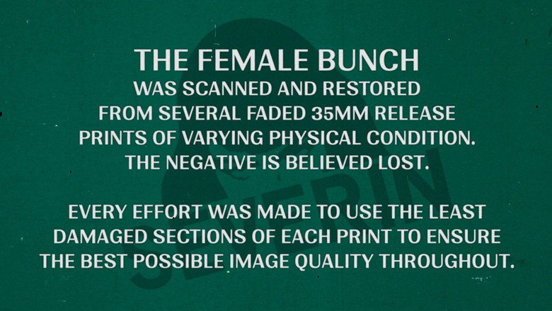 The Female Bunch still 8