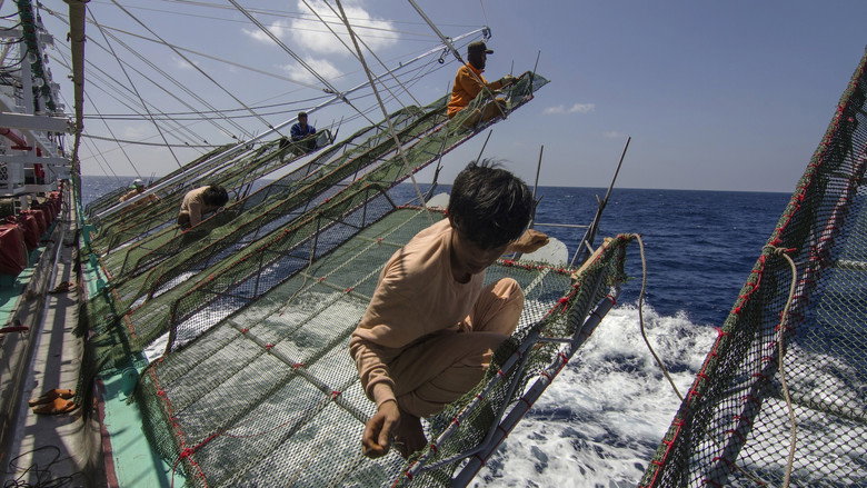Squid Jigging Fishing Boat still 3