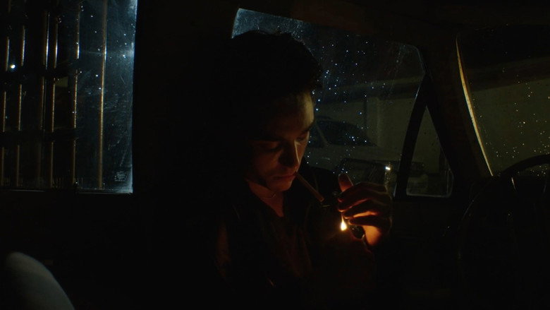 Amos, Vogel still 8