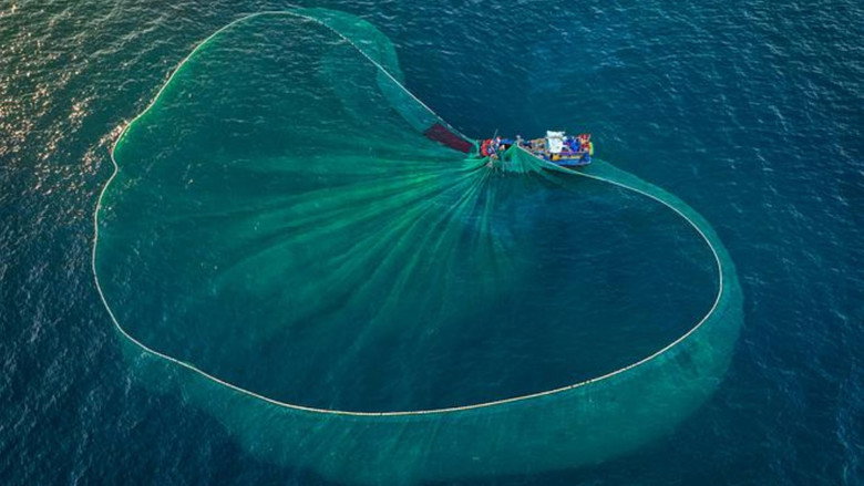 Au nom de la mer : vers une pêche durable ? still 2