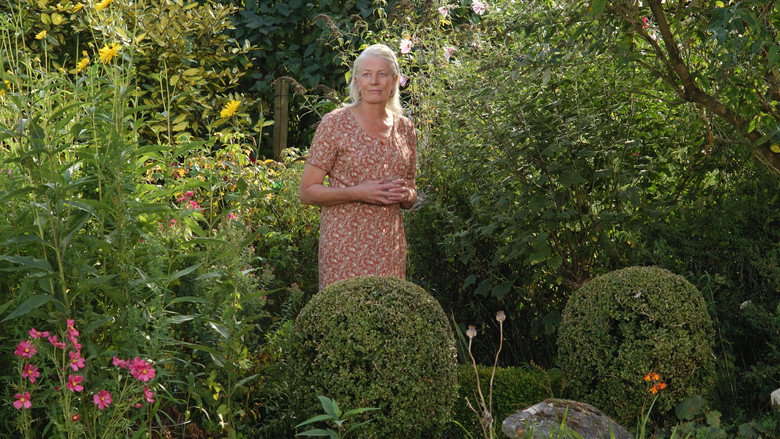 The Shell Seekers still 5