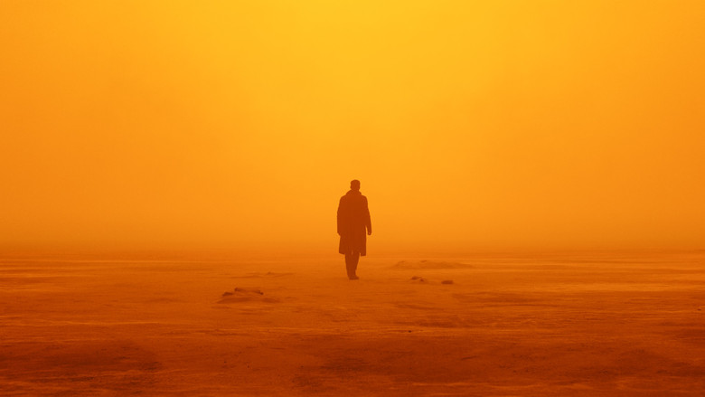 Blade Runner 2049 still 8
