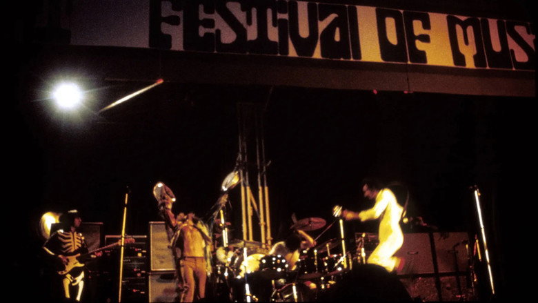 The Who:  Live at the Isle of Wight Festival 1970 still 2