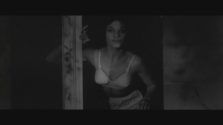 Curse of the Fly still 1