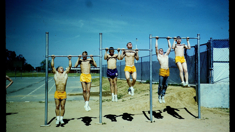 The Motivation Factor: to Become Smart, Productive & Mentally Stable still 3