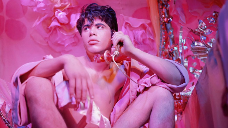 Pink Narcissus still 2